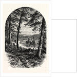 The Vale of Avoca, Ireland by Anonymous