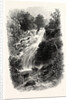 Torc Cascade, Killarney, Ireland by Anonymous