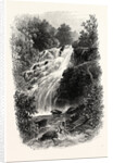 Torc Cascade, Killarney, Ireland by Anonymous