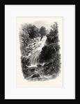 Torc Cascade, Killarney, Ireland by Anonymous