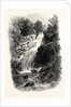 Torc Cascade, Killarney, Ireland by Anonymous