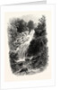 Torc Cascade, Killarney, Ireland by Anonymous