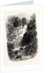 Torc Cascade, Killarney, Ireland by Anonymous
