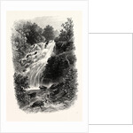 Torc Cascade, Killarney, Ireland by Anonymous