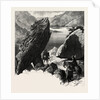 The Pike, Gap of Dunloe, Ireland by Anonymous