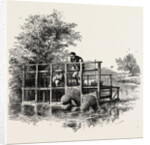 Eel Bucks on the Thames by Anonymous
