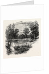 Medmenham Abbey by Anonymous