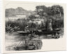 On the Thames, Near Pangbourne by Anonymous
