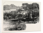 On the Thames, Near Pangbourne by Anonymous