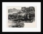 On the Thames, Near Pangbourne by Anonymous