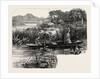 On the Thames, Near Pangbourne by Anonymous