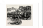 On the Thames, Near Pangbourne by Anonymous