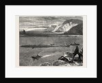 Pilchard Fishing Off the Lizard by Anonymous