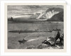 Pilchard Fishing Off the Lizard by Anonymous