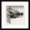 Polpeor, Cornwall by Anonymous