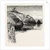 Polpeor, Cornwall by Anonymous