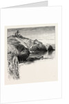 Polpeor, Cornwall by Anonymous