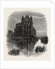 Whitby Abbey by Anonymous
