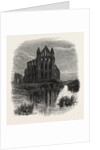 Whitby Abbey by Anonymous
