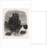 Whitby Abbey by Anonymous