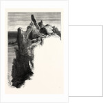 The Logan Rock, Cornwall by Anonymous