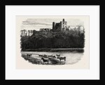 Norham Castle by Anonymous
