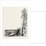 Twisell Bridge by Anonymous