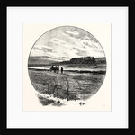 The Coquet at Farnham by Anonymous