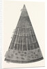 Portion of a Section of the Branch of a Tree. by Anonymous