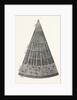 Portion of a Section of the Branch of a Tree. by Anonymous