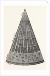 Portion of a Section of the Branch of a Tree. by Anonymous