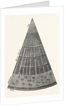 Portion of a Section of the Branch of a Tree. by Anonymous