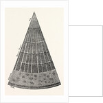 Portion of a Section of the Branch of a Tree. by Anonymous