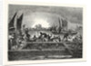 The Tunny Fishery by Anonymous