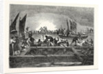 The Tunny Fishery by Anonymous