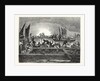 The Tunny Fishery by Anonymous