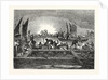 The Tunny Fishery by Anonymous