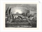 The Tunny Fishery by Anonymous