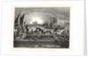 The Tunny Fishery by Anonymous