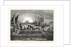 The Tunny Fishery by Anonymous