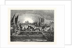 The Tunny Fishery by Anonymous