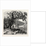 James River, above Rope Ferry, Virginia by Anonymous