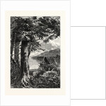 Hemlocks of Lake Otsego by Anonymous