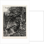 Kettle Run, Altoona by Anonymous