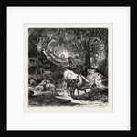 The Shady Lane by Anonymous