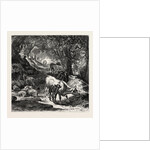 The Shady Lane by Anonymous