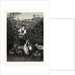 Dinner-Time by Anonymous