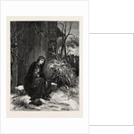 Mary of the Wild Moor by Anonymous