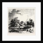 St. Asaph Cathedral by Anonymous