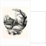 Winter. The Trees Stand Shivering in the Frosty Air by Anonymous